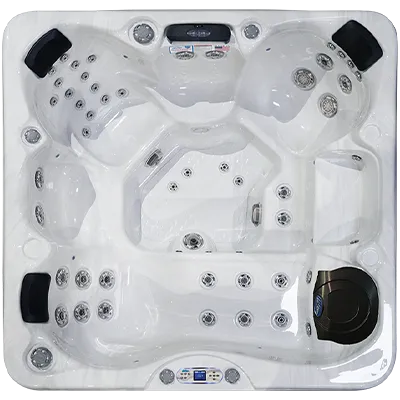 Avalon EC-849L hot tubs for sale in Gilroy