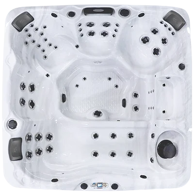 Avalon EC-867L hot tubs for sale in Gilroy